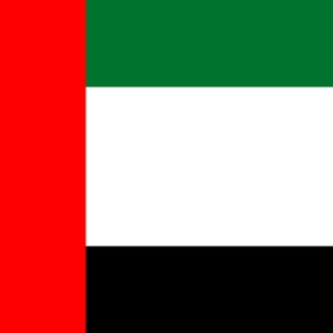 UAE flag